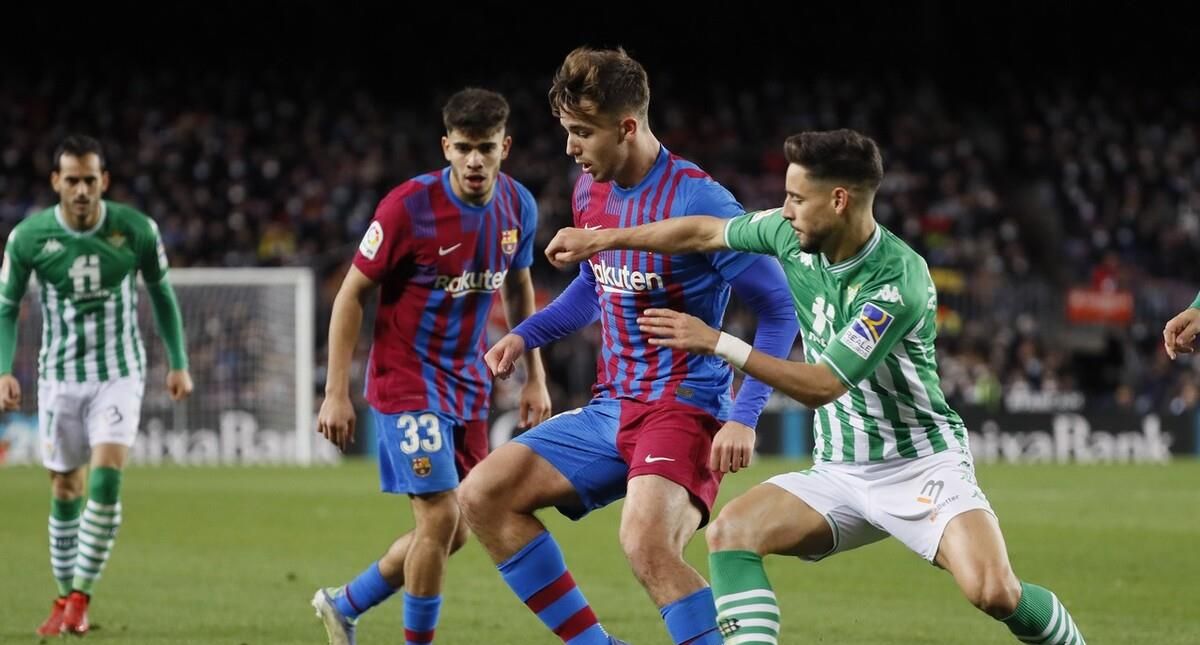 他们愿意向 他们愿意向