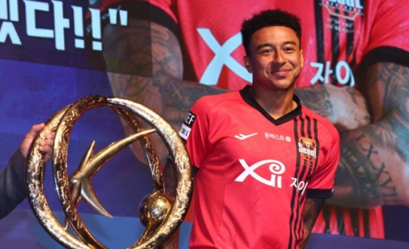 密的后防布 密的后防布