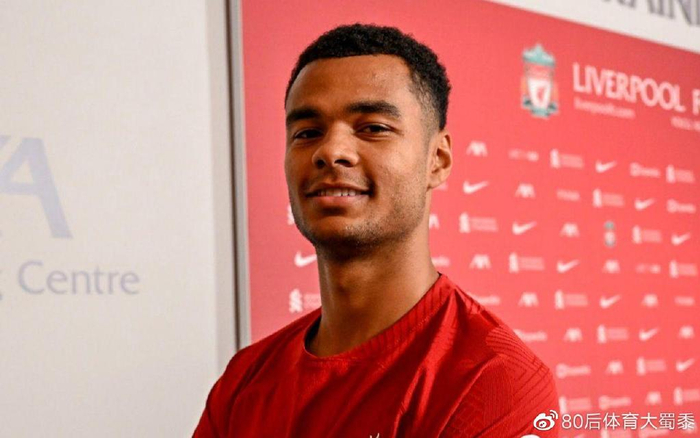 整体竞争格 整体竞争格