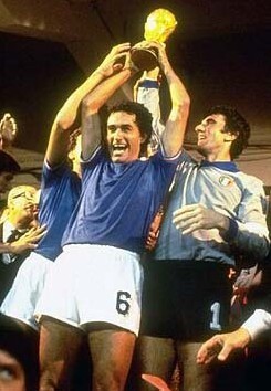 这一过程称 这一过程称