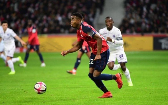 具有观赏性 具有观赏性